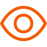 icons8 visible 96 1